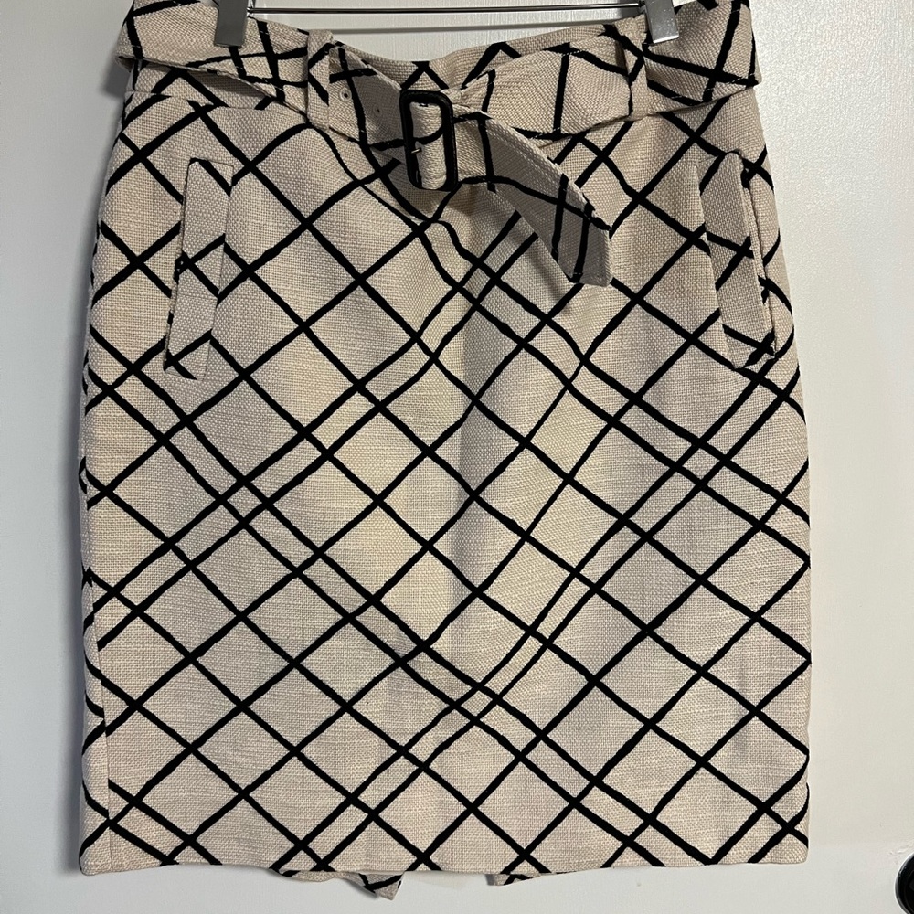 Banana Republic Skirt 10